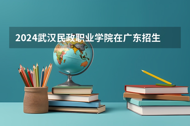 2024武汉民政职业学院在广东招生计划