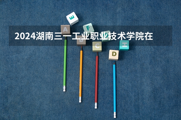 2024湖南三一工业职业技术学院在广东招生计划