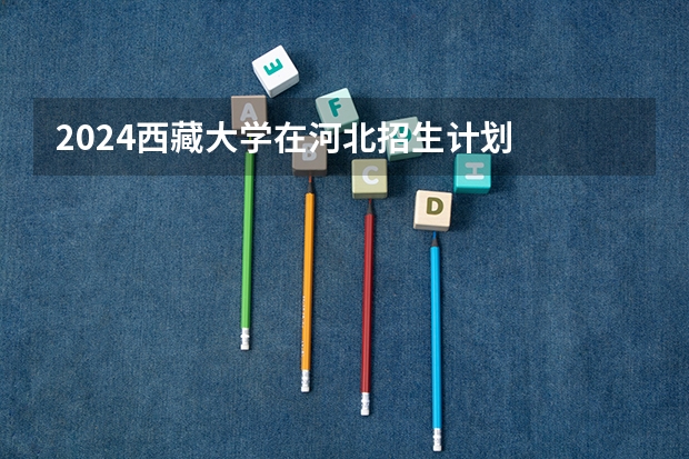 2024西藏大学在河北招生计划