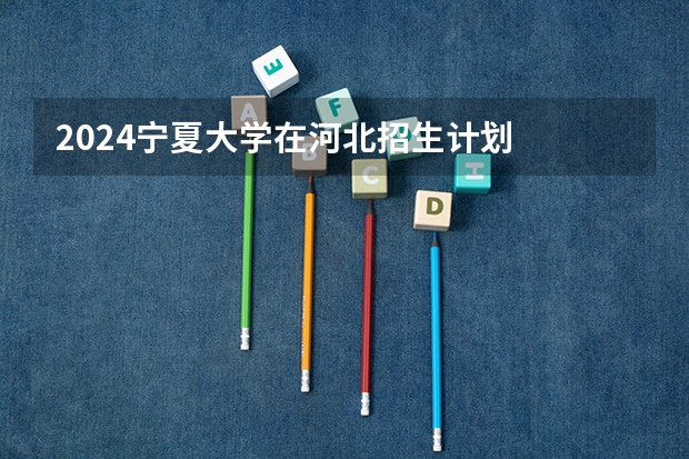 2024宁夏大学在河北招生计划