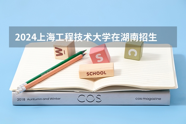 2024上海工程技术大学在湖南招生计划