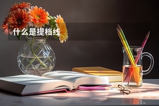 什么是提档线