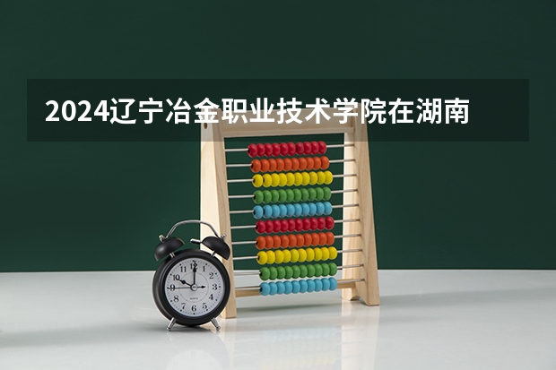 2024辽宁冶金职业技术学院在湖南招生计划