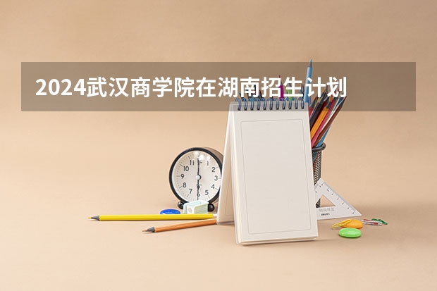 2024武汉商学院在湖南招生计划