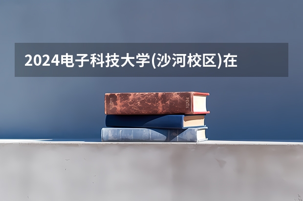 2024电子科技大学(沙河校区)在湖南招生计划