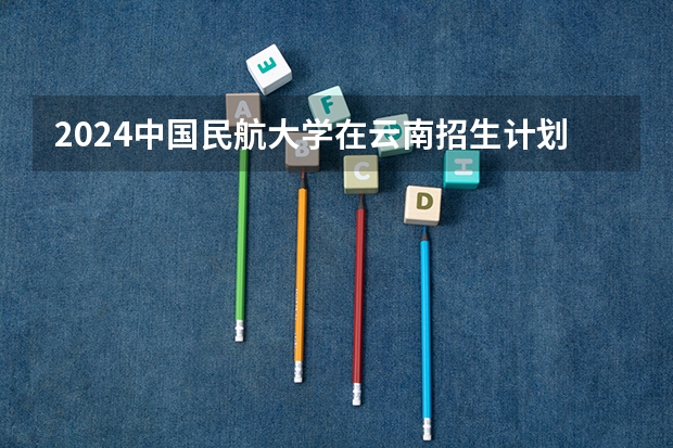 2024中国民航大学在云南招生计划