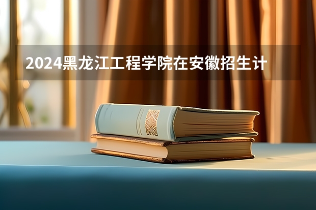 2024黑龙江工程学院在安徽招生计划