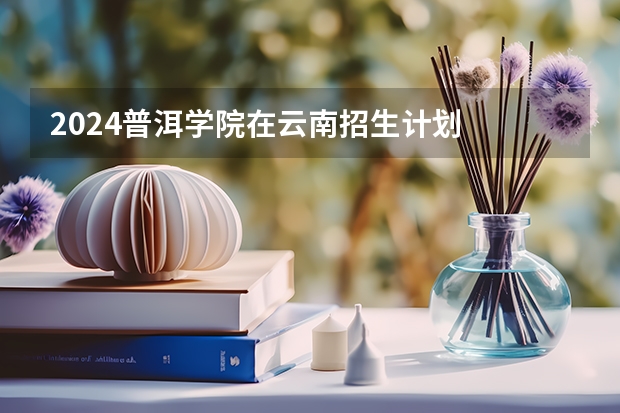 2024普洱学院在云南招生计划
