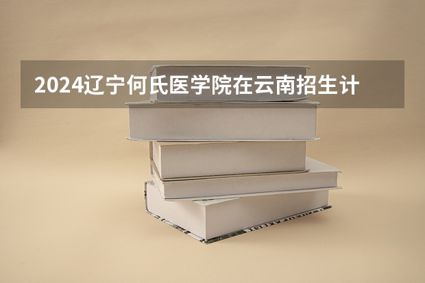 2024辽宁何氏医学院在云南招生计划