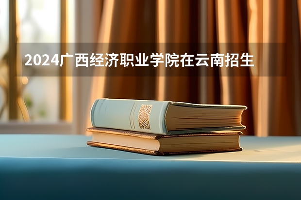 2024广西经济职业学院在云南招生计划