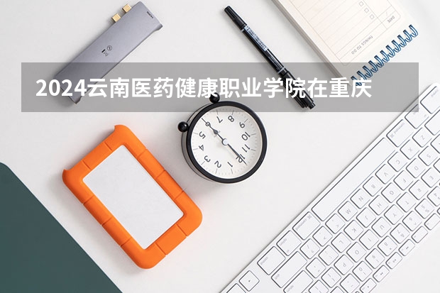 2024云南医药健康职业学院在重庆招生计划