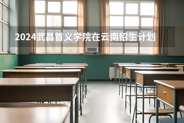 2024武昌首义学院在云南招生计划