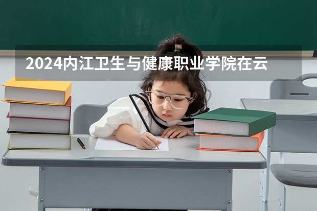 2024内江卫生与健康职业学院在云南招生计划