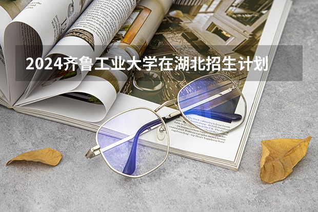 2024齐鲁工业大学在湖北招生计划