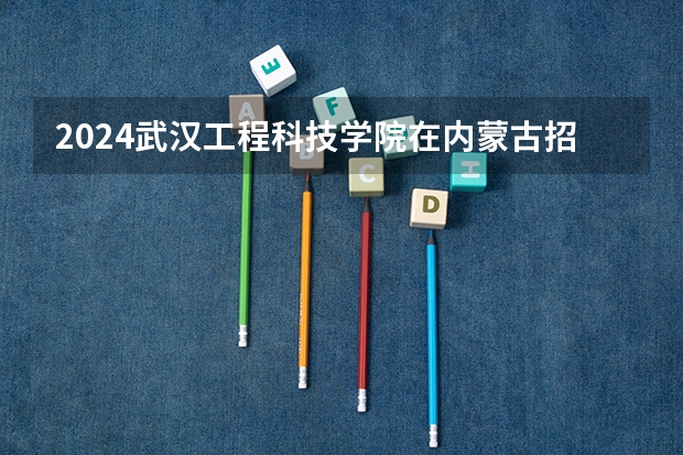 2024武汉工程科技学院在内蒙古招生计划