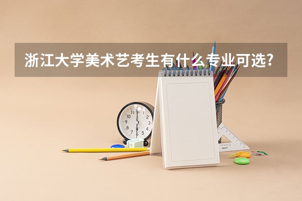 浙江大学美术艺考生有什么专业可选?