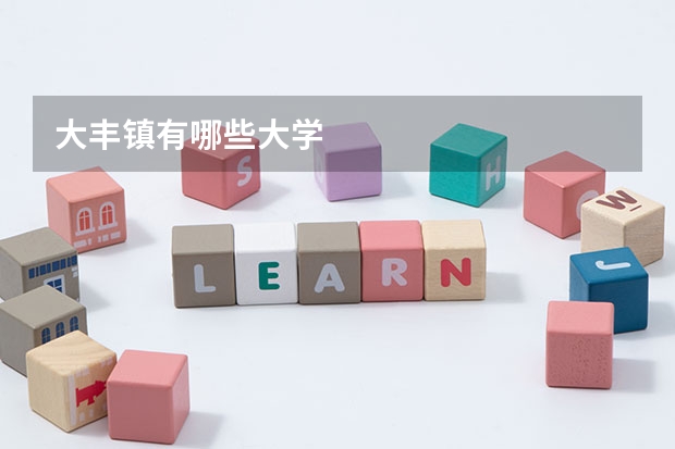 大丰镇有哪些大学