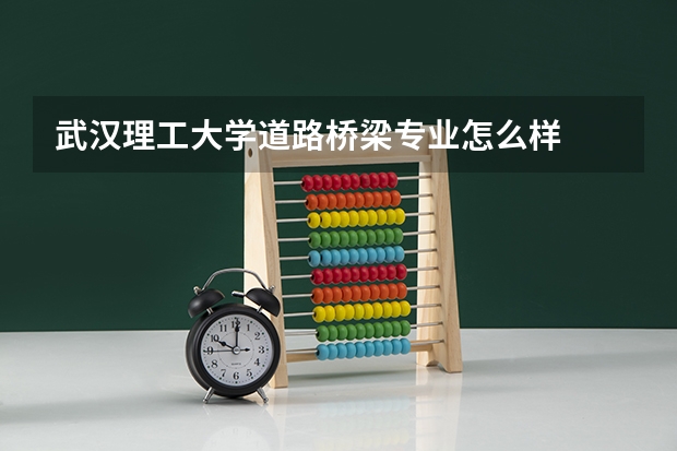 武汉理工大学道路桥梁专业怎么样