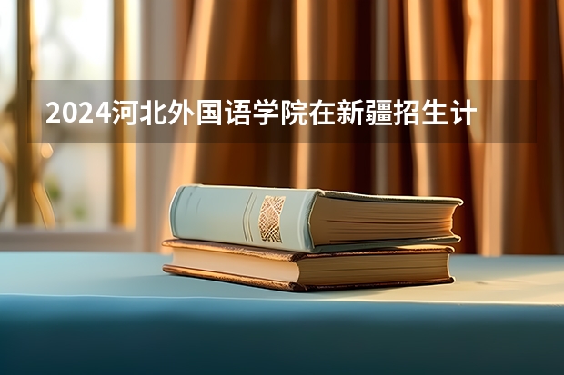 2024河北外国语学院在新疆招生计划