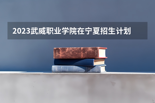 2023武威职业学院在宁夏招生计划