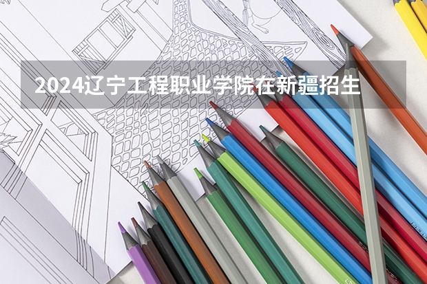 2024辽宁工程职业学院在新疆招生计划