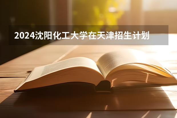2024沈阳化工大学在天津招生计划