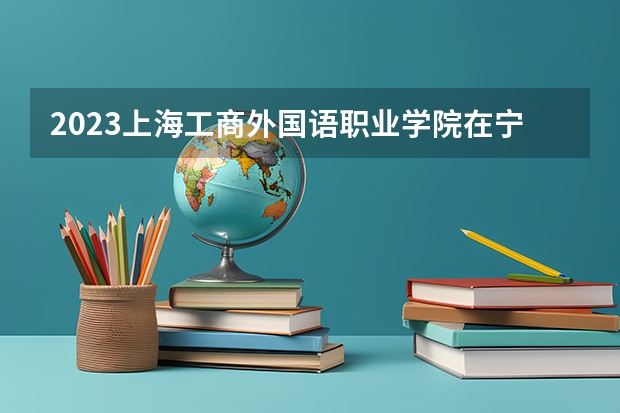 2023上海工商外国语职业学院在宁夏招生计划