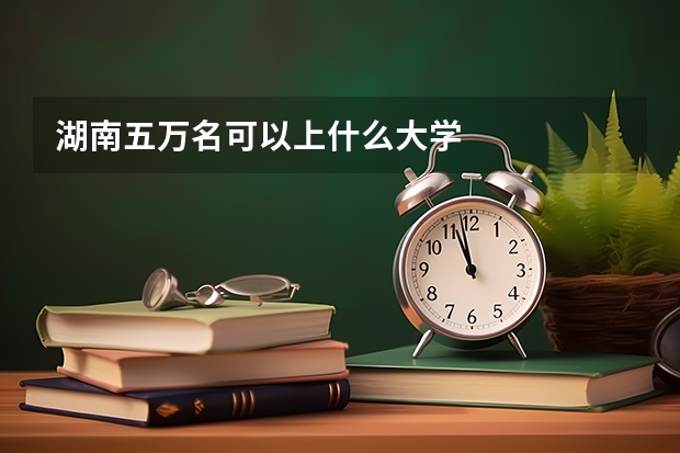 湖南五万名可以上什么大学
