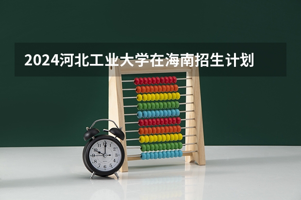 2024河北工业大学在海南招生计划
