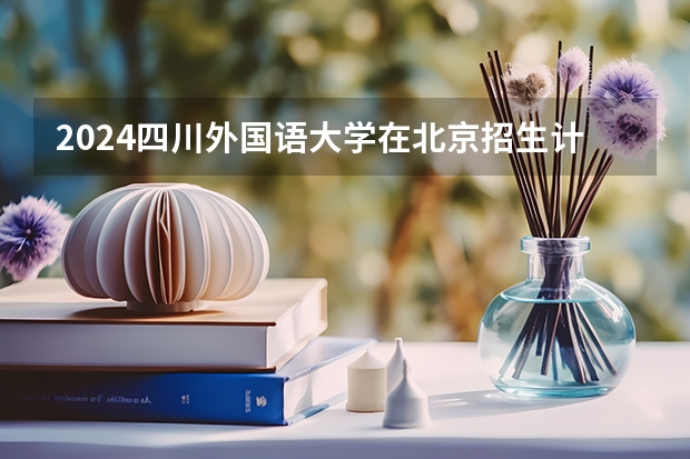 2024四川外国语大学在北京招生计划