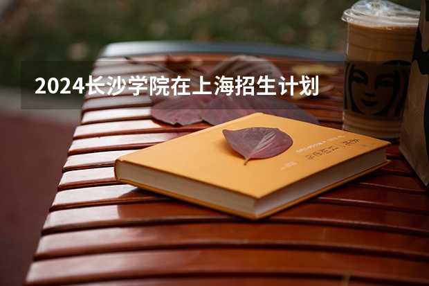 2024长沙学院在上海招生计划