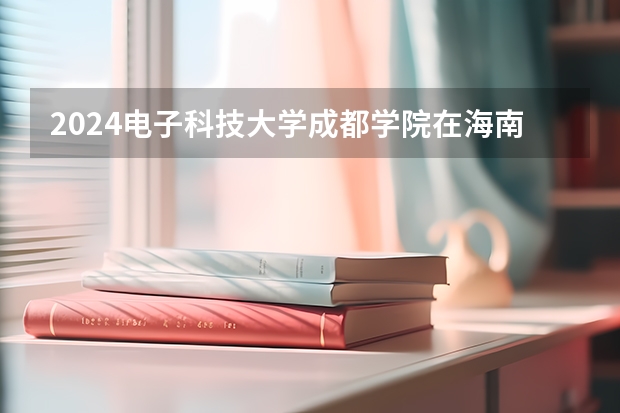 2024电子科技大学成都学院在海南招生计划