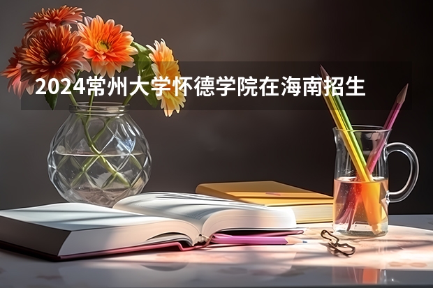 2024常州大学怀德学院在海南招生计划