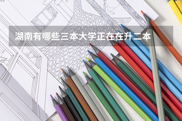 湖南有哪些三本大学正在在升二本