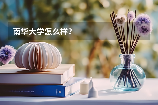 南华大学怎么样？