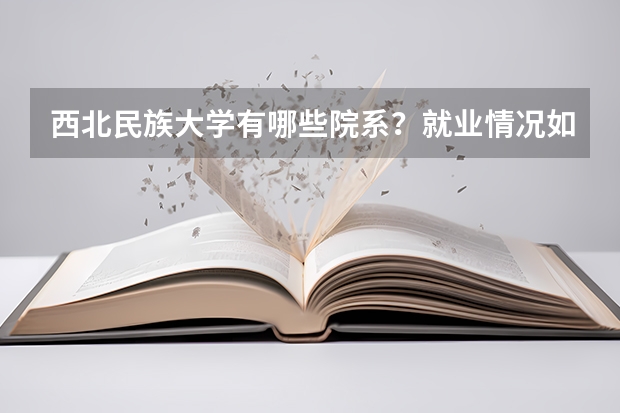 西北民族大学有哪些院系？就业情况如何？