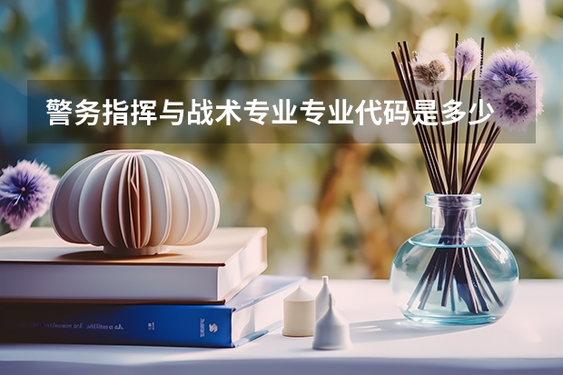 警务指挥与战术专业专业代码是多少