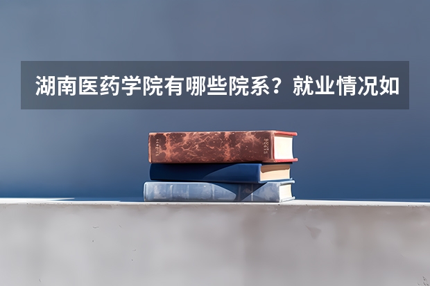 湖南医药学院有哪些院系？就业情况如何？