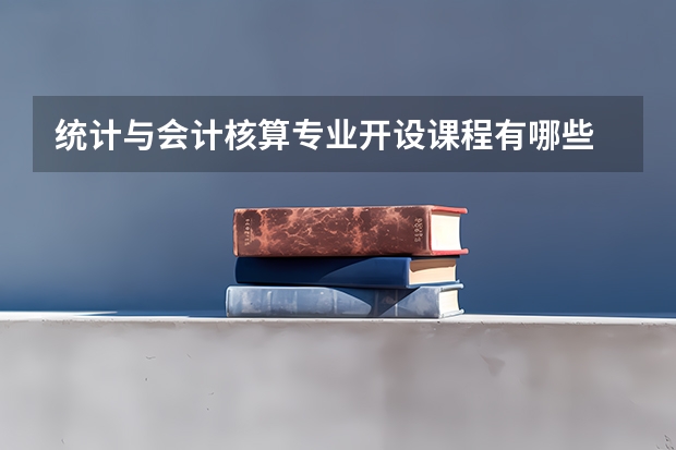 统计与会计核算专业开设课程有哪些 考研方向是什么