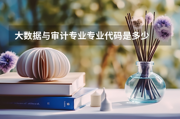 大数据与审计专业专业代码是多少