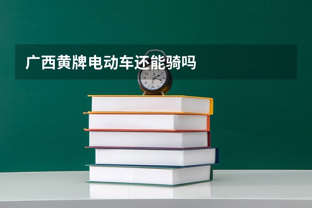 广西黄牌电动车还能骑吗