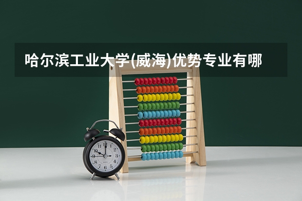 哈尔滨工业大学(威海)优势专业有哪些