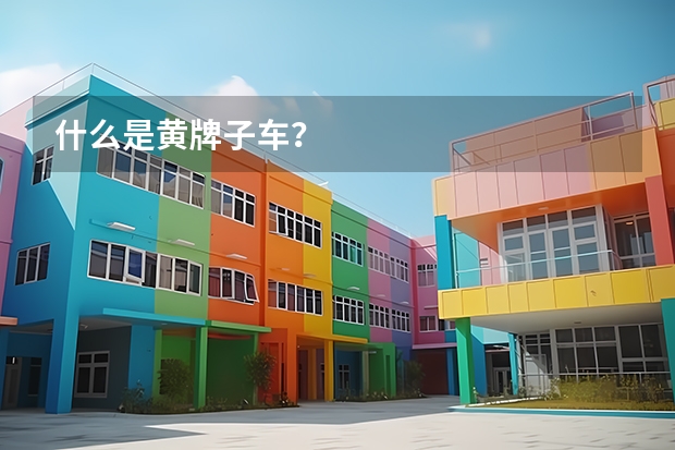什么是黄牌子车？