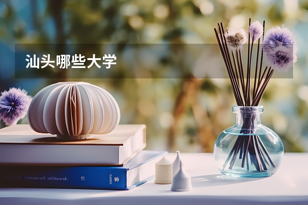 汕头哪些大学
