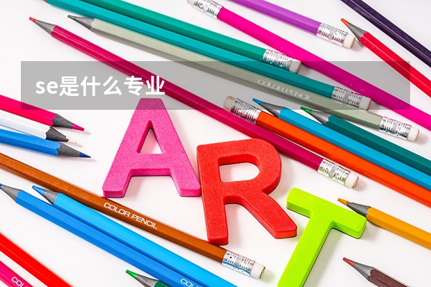 se是什么专业