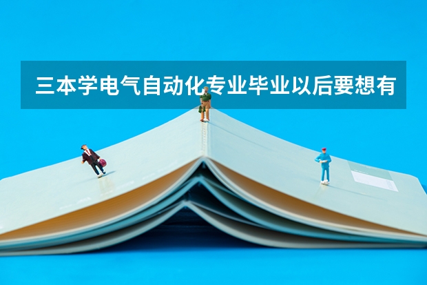三本学电气自动化专业毕业以后要想有个高收入应该在大二的时候准备学点什么？