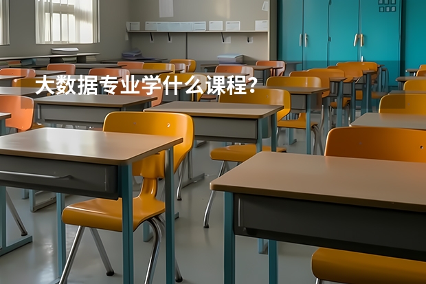 大数据专业学什么课程？