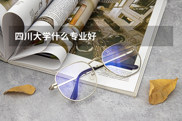 四川大学什么专业好