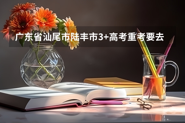 广东省汕尾市陆丰市3+高考重考要去哪里报名
