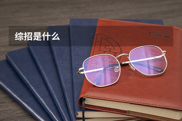 综招是什么